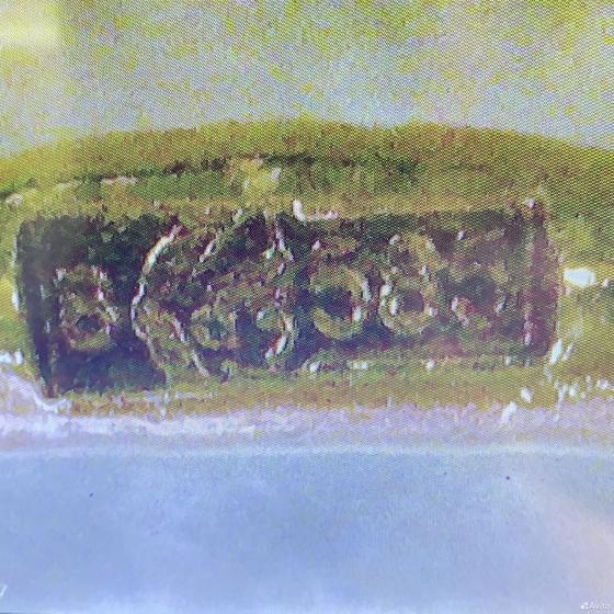 Золотой пирсинг с камнями 585пр. вес: 2,15гр