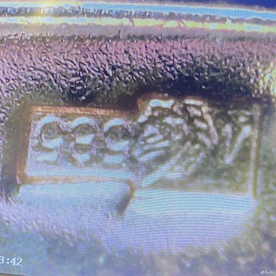 Золотые серьги с камнями 585пр. вес: 1,06гр